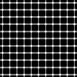 きらめき格子錯視（Scintillating Grid Illusion）