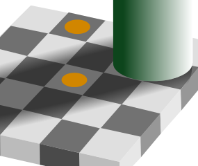 チェッカーシャドウ錯視（Checker shadow illusion）