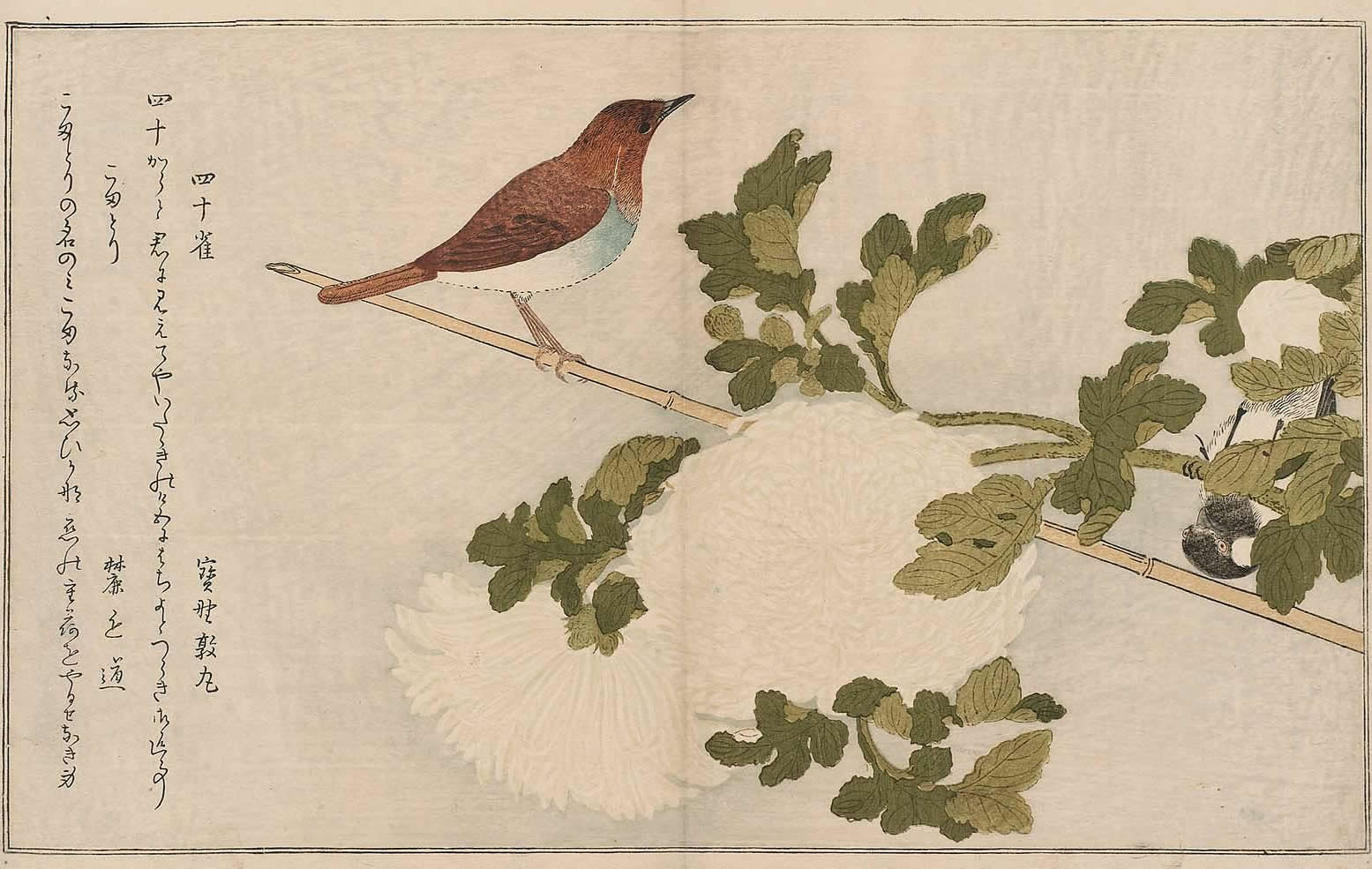 絵本百千鳥・百千鳥狂歌合 - [画]喜多川歌麿 -『浮世絵・錦絵