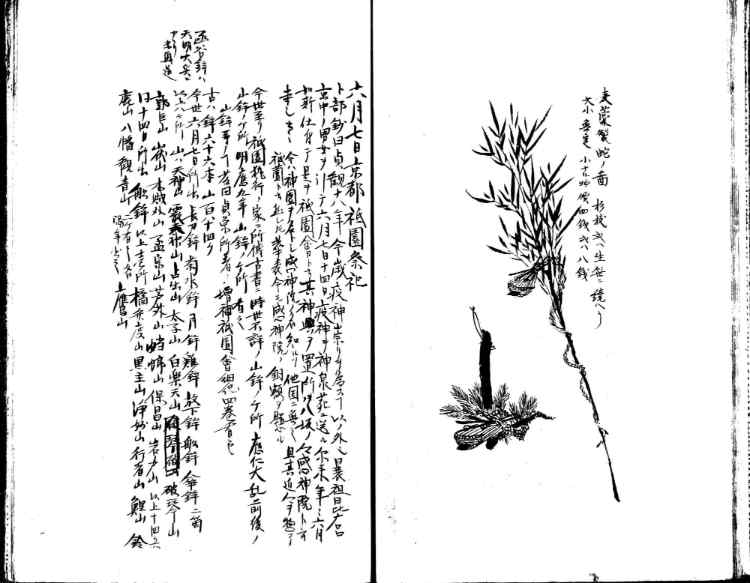守貞謾稿