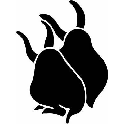 後ろ向き番い兎