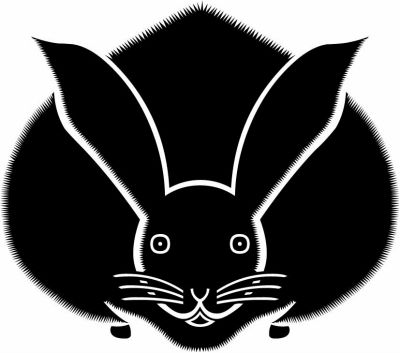 真向き変わり兎