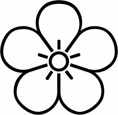 陰梅の花（２）