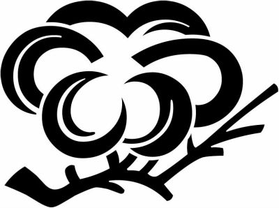 木村梅・光琳枝梅