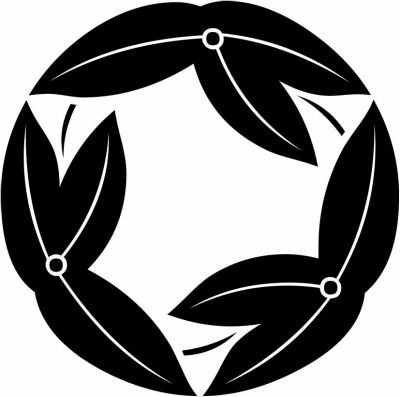 三つ追い葉沢瀉（１）