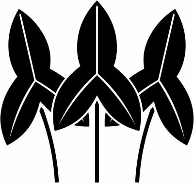 三本沢瀉（２）