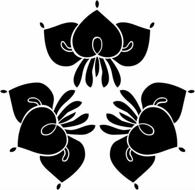 頭合わせ三つ花杜若