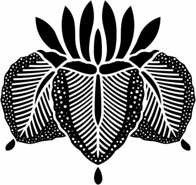 変わり杜若の花・変わり花杜若（２）