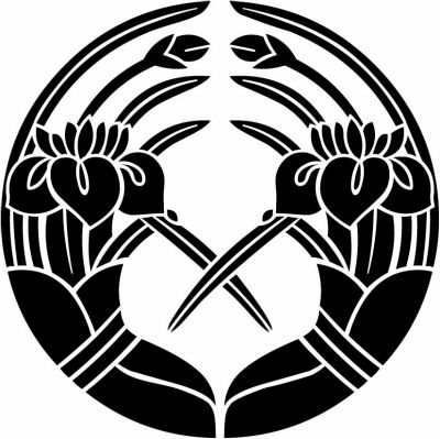 抱き杜若（２）