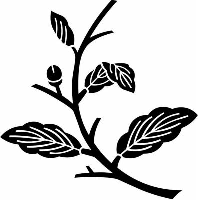 折れ枝柏（１）・枝柏