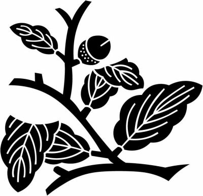 折れ枝柏（２）