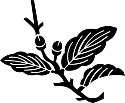 折れ枝柏（３）