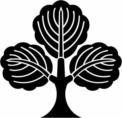 変わり三つ葉柏