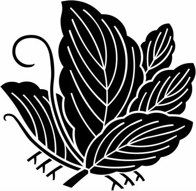 揚羽柏蝶・柏蝶（１）