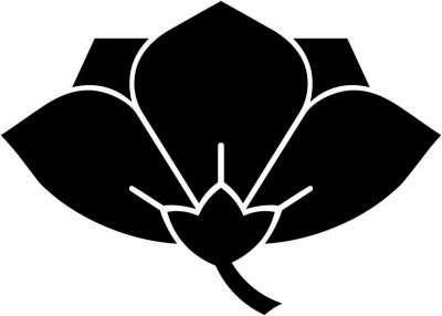 横見桔梗（２）