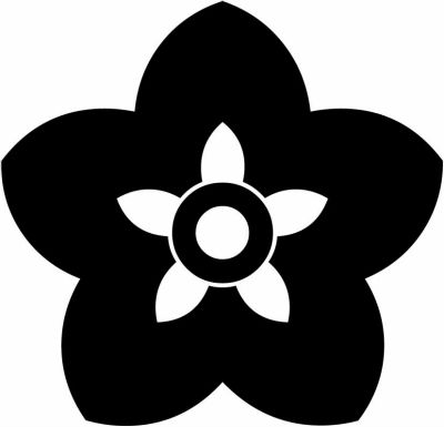 山城桔梗（２）