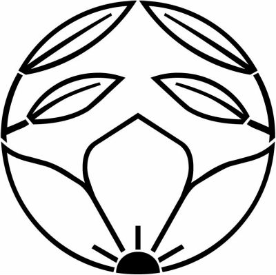 総陰葉付き割り桔梗