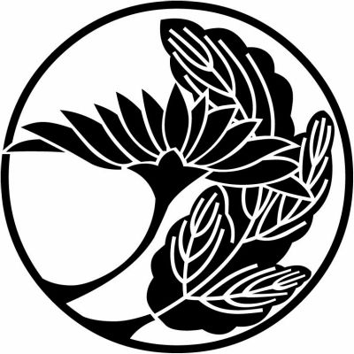 一つ葉横見菊の丸