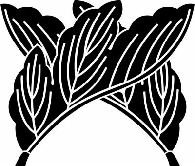 割り違い菊の葉