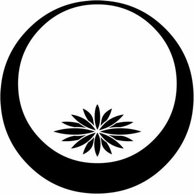 月輪に総覗き千重菊菱