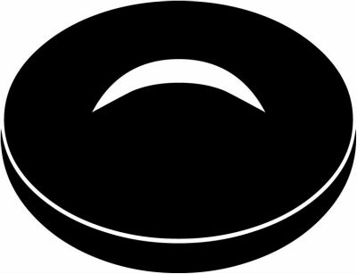 光琳菊・光琳饅頭菊