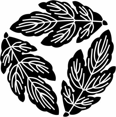 三つ追い菊の葉