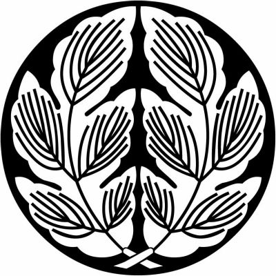 石持ち地抜き抱き菊葉