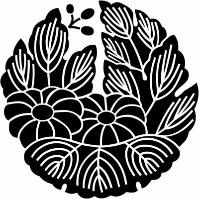 変わり杏葉菊（１）