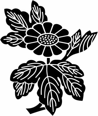 変わり枝菊（２）