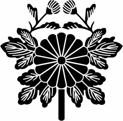 有栖川抱き葉菊