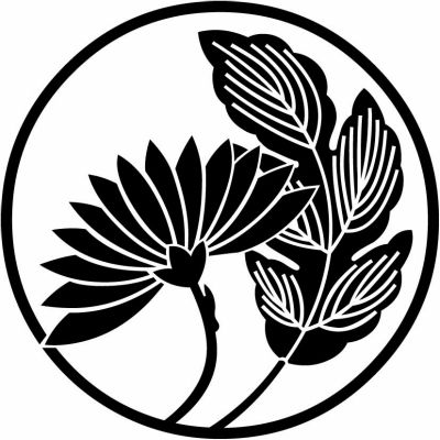 葉付き横見菊の丸