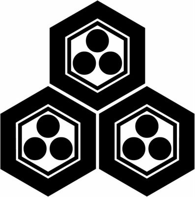 三つ盛り亀甲に三つ星