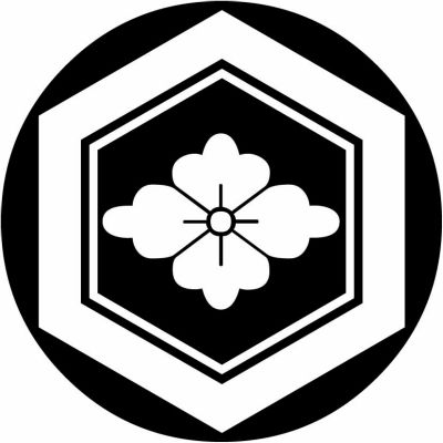 石持ち地抜き亀甲に花菱