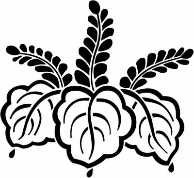 陰踊り桐（２）