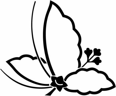 細中陰飛び桐蝶・細中陰桐飛び蝶