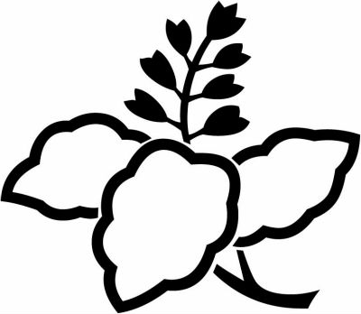 中陰枝桐（１）