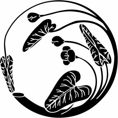 河骨枝丸（５）