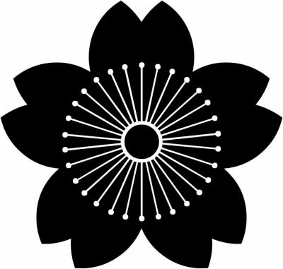 向こう山桜（１）