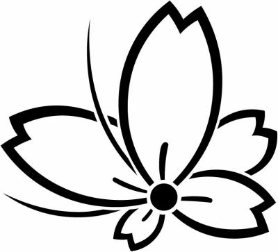 中陰飛び桜蝶・中陰変わり飛び桜蝶（１）