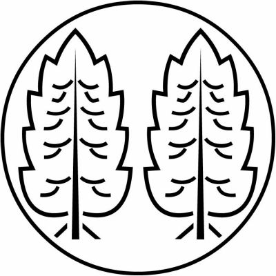 糸輪に陰並び杉