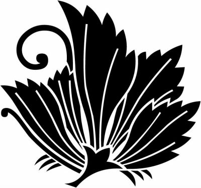 石竹揚羽蝶・石竹蝶