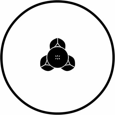 糸輪に蛇の目式変わり向こう橘