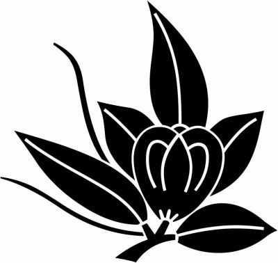 揚羽橘蝶・揚羽蝶橘・変わり橘蝶