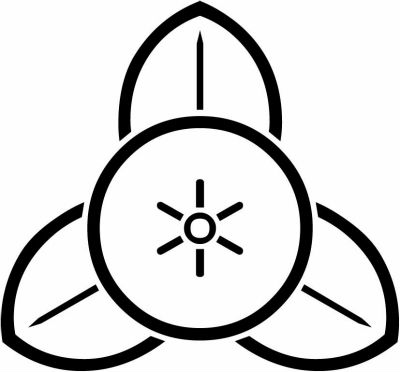 陰向こう茶の実