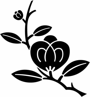 枝茶の実（１）