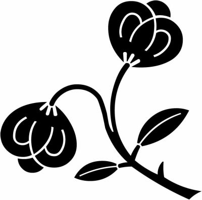 枝茶の実（２）・二つ葉茶の実