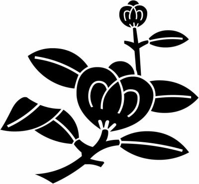 枝茶の実（３）