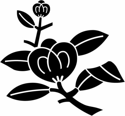 枝茶の実（４）