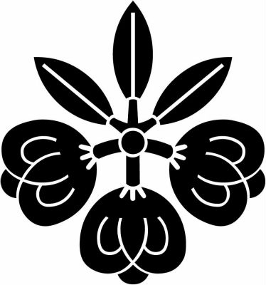 茶の実桐（２）