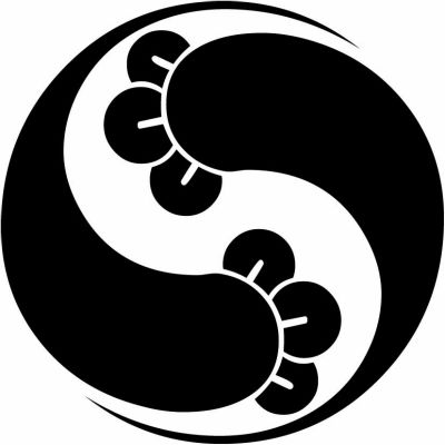 変わり右二つ丁子巴